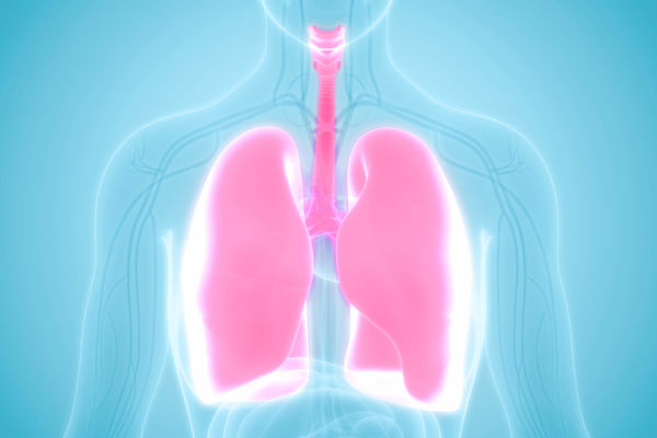 Innere Medizin in Hausarzt Dr. med. Dost Mohammad Landshut, Medizinisches Versorgungszentrum (MVZ) Vilsbiburg und Privatpraxis in Erding