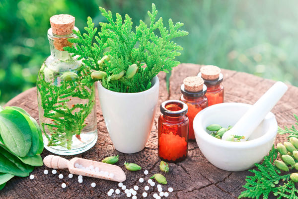 Naturheilkunde und die Kraft der Pflanzen in Hausarzt Dr. med. Dost Mohammad Landshut, Medizinisches Versorgungszentrum (MVZ) Vilsbiburg und Privatpraxis in Erding